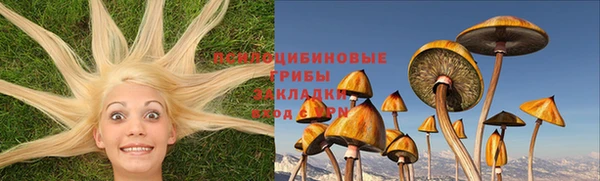 винт Алзамай