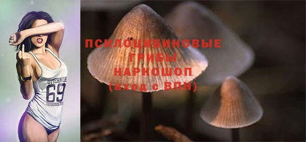 гидропоника Алексин