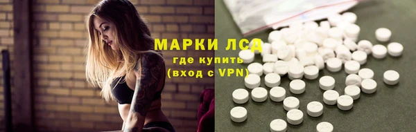 винт Алзамай