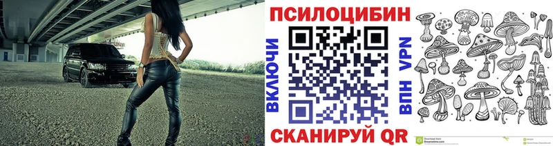 Псилоцибиновые грибы Psilocybe  блэк спрут вход  Кирс  что такое  